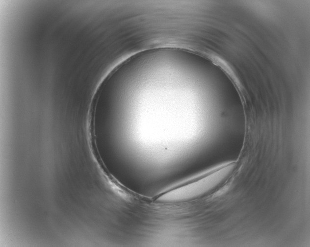 X0000070881149200606302131