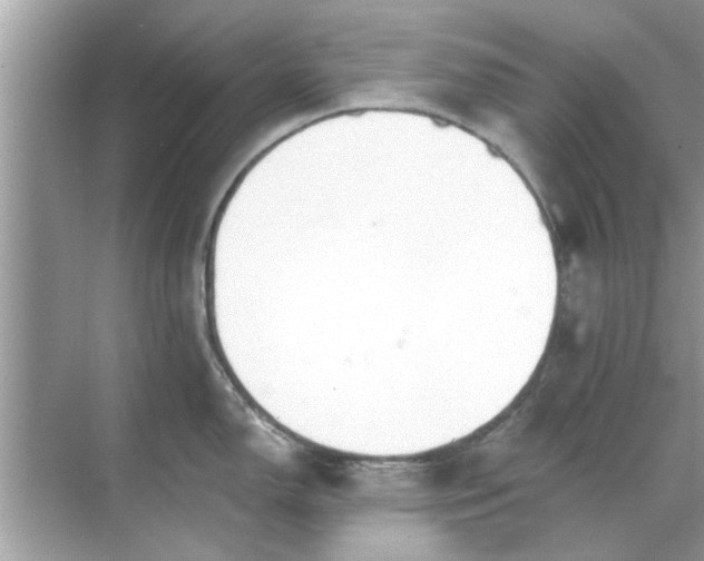 X0000070881150200606302131