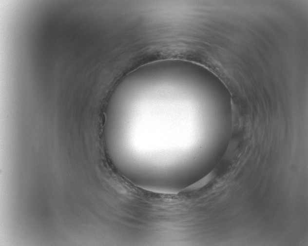 X0000070881153200606302130