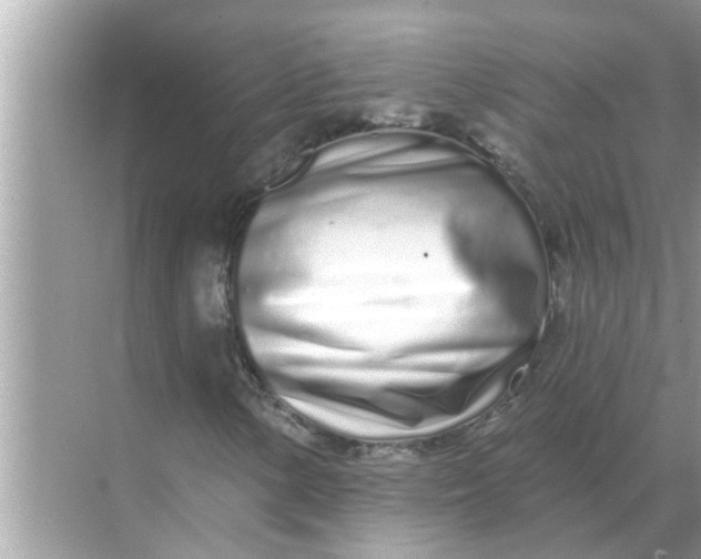 X0000070881154200606302130