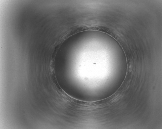 X0000070881156200606302130