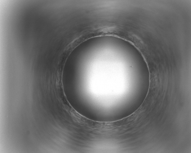 X0000070881158200606302130