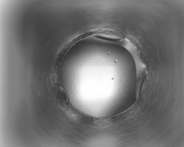 X0000070881159200606302130