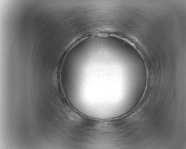 X0000070881162200606302130