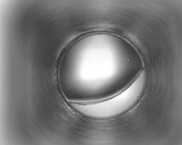 X0000070881164200606302130