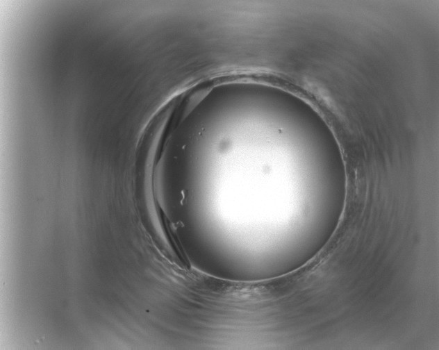 X0000070881165200606302130