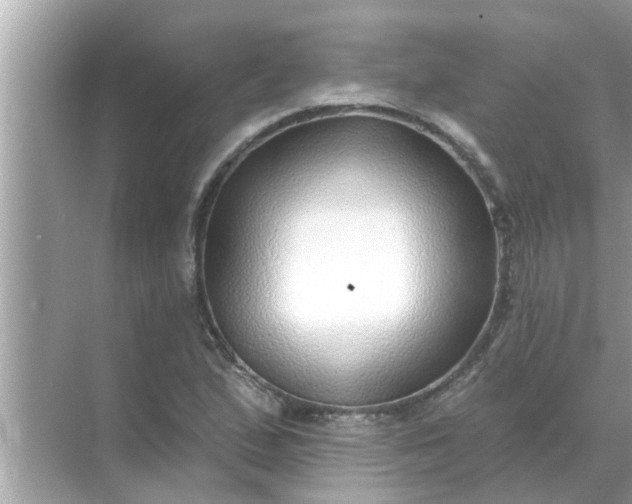 X0000070881167200606302130