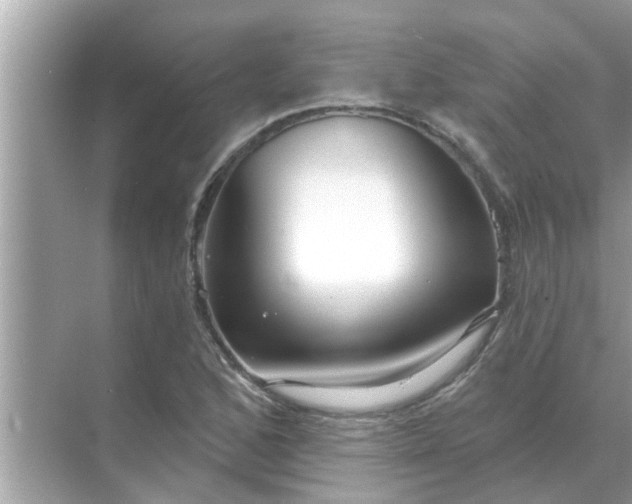 X0000070881168200606302130