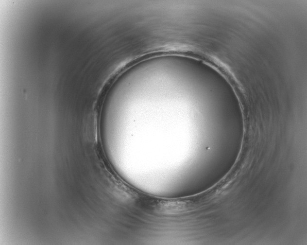 X0000070881171200606302130