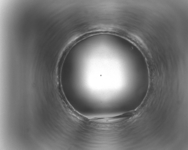 X0000070881172200606302130