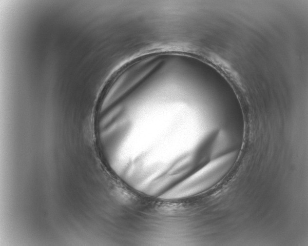 X0000070881174200606302130