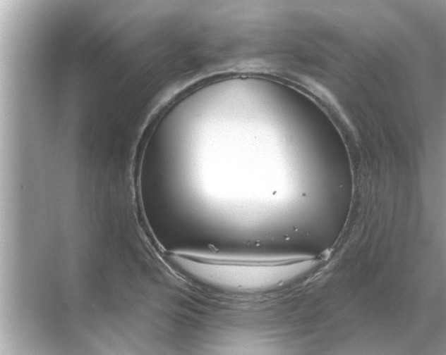 X0000070881176200606302130