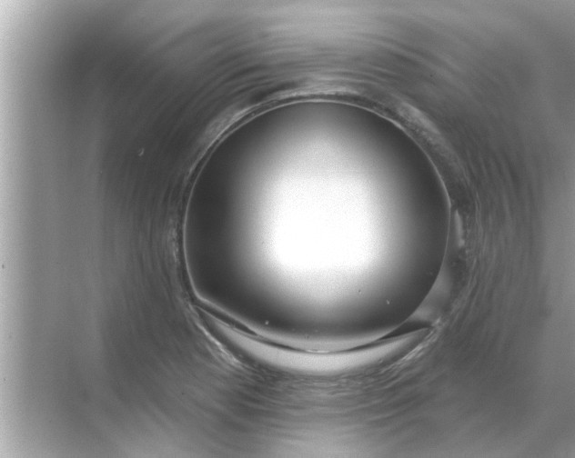 X0000070881177200606302130