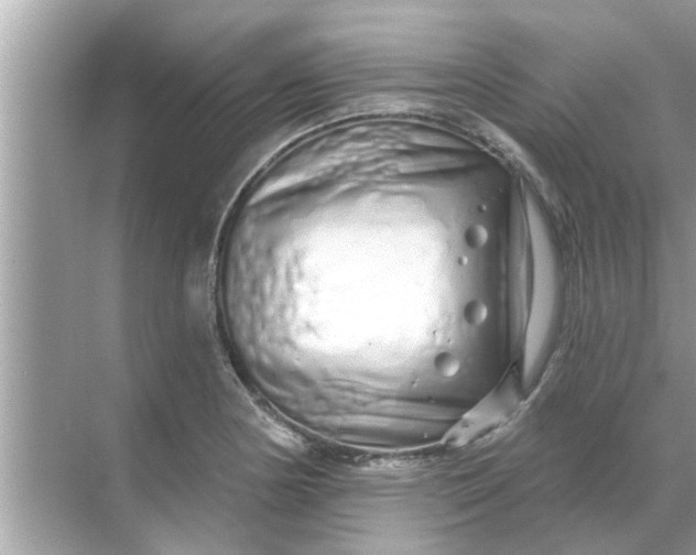 X0000070881178200606302130