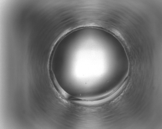 X0000070881181200606302130