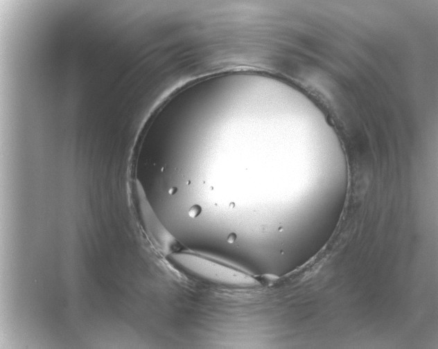 X0000070881182200606302130