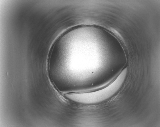 X0000070881183200606302130