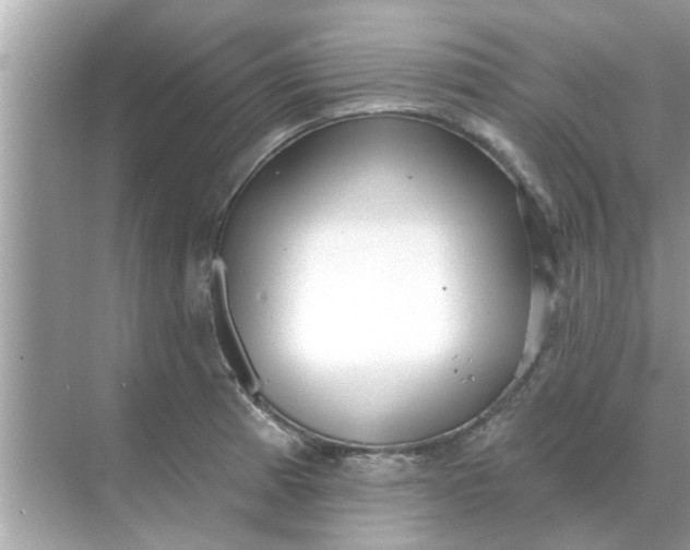 X0000070881185200606302130