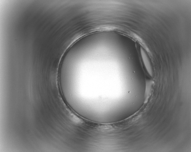 X0000070881186200606302129