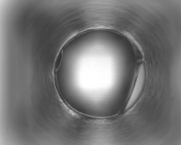 X0000070881189200606302129