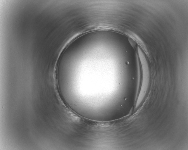 X0000070881190200606302129