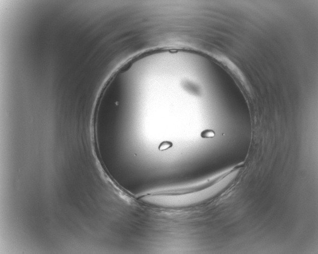 X0000070881191200606302129