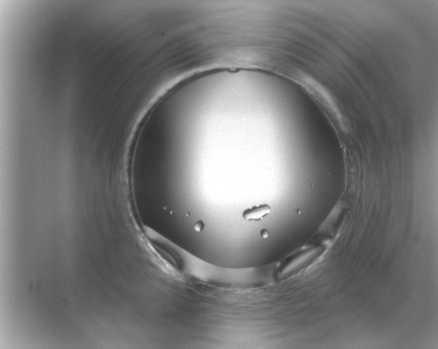 X0000070881192200606302129