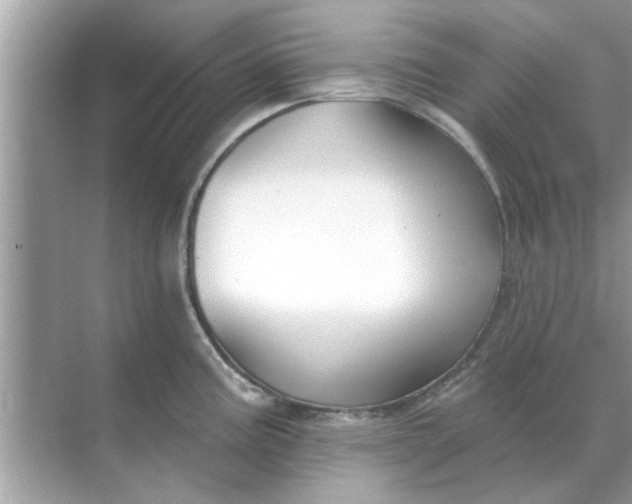 X0000070881195200606302129