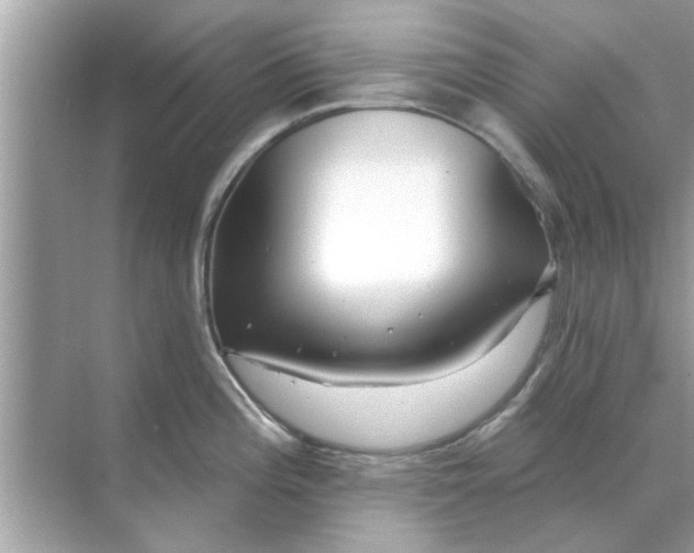 X0000070881196200606302129