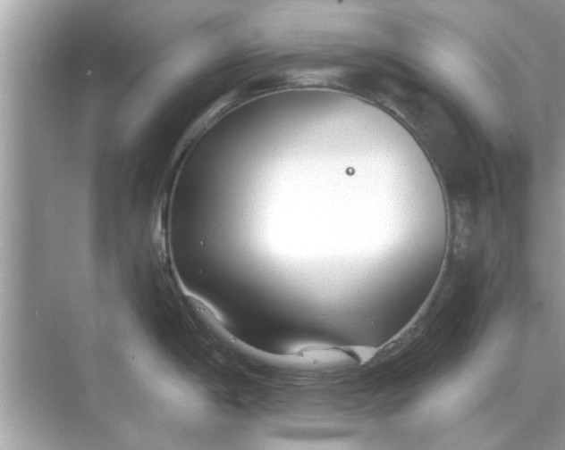 X0000070881198200606302129