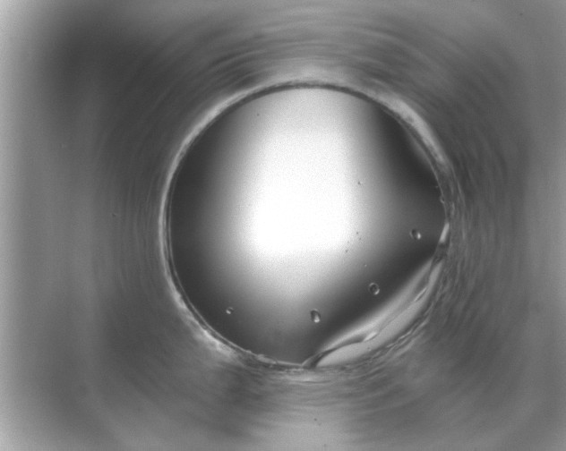 X0000070881199200606302129