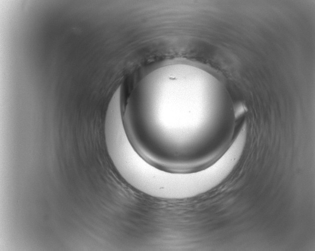 X0000070881202200606302128