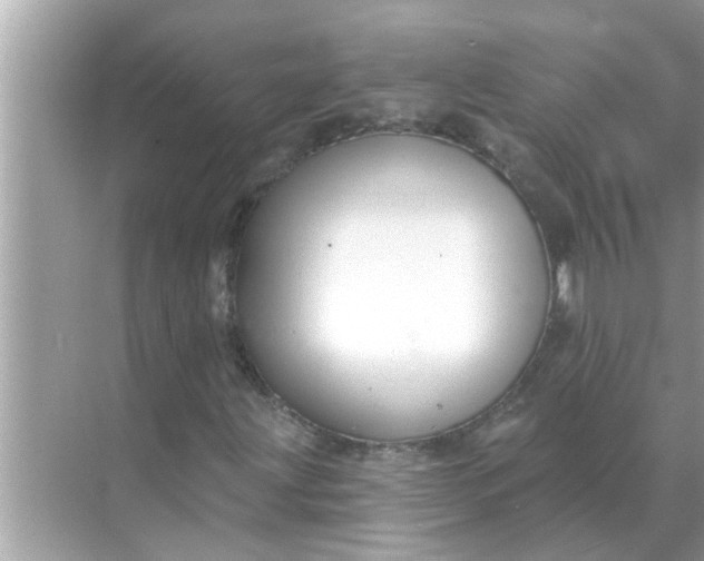 X0000070881203200606302128