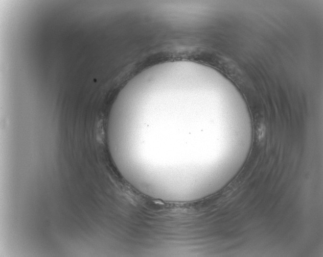 X0000070881204200606302128