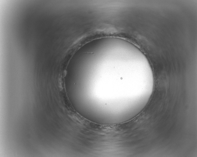 X0000070881205200606302129