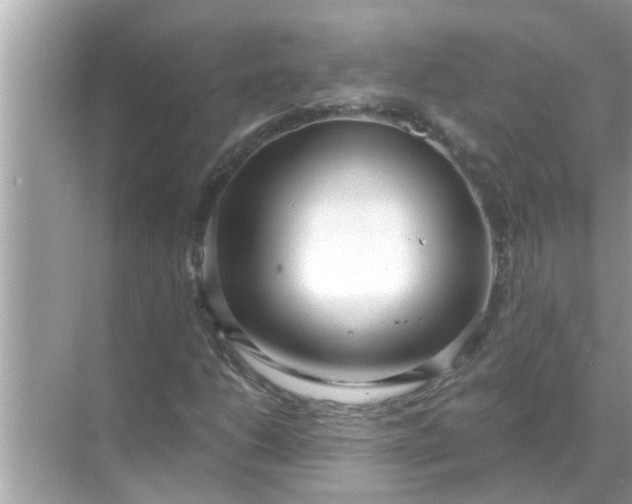 X0000070881206200606302129