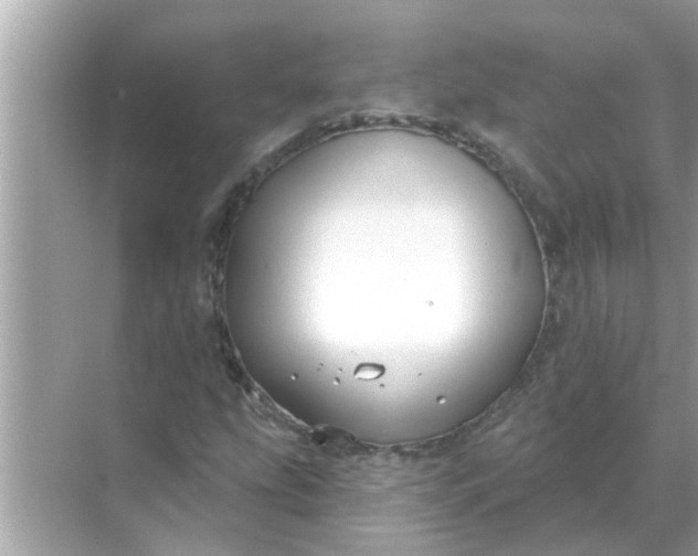 X0000070881207200606302129