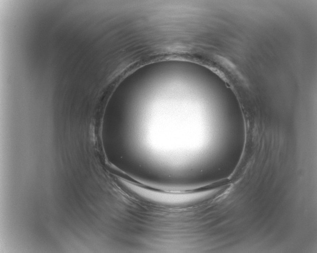 X0000070881209200606302129