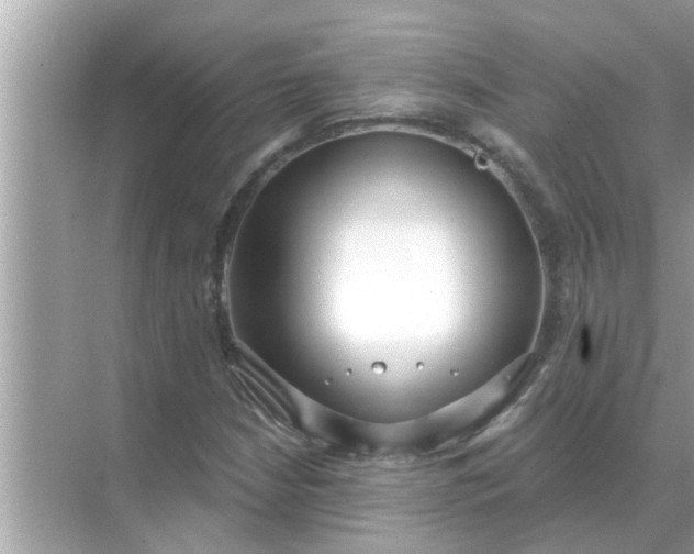 X0000070881210200606302129