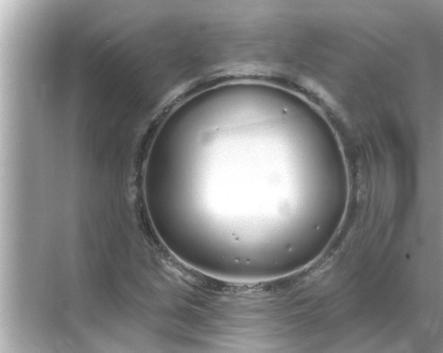 X0000070881213200606302129