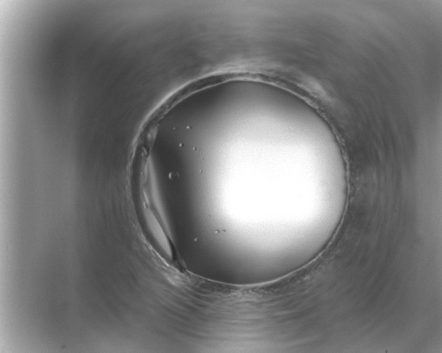 X0000070881216200606302129