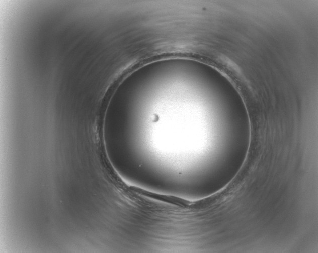 X0000070881218200606302129