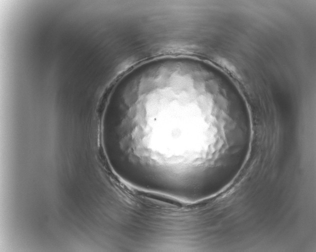 X0000070881219200606302129