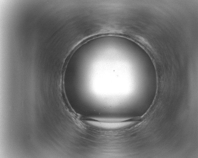 X0000070881220200606302129