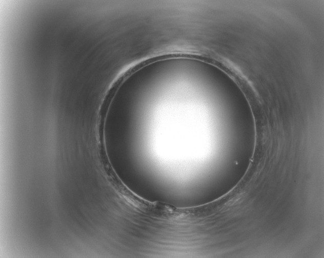 X0000070881222200606302129