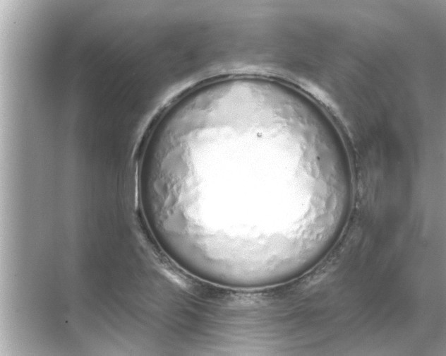 X0000070881223200606302129