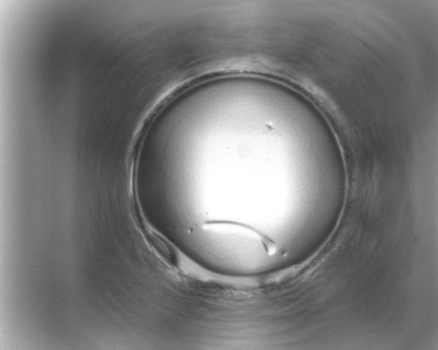 X0000070881224200606302129