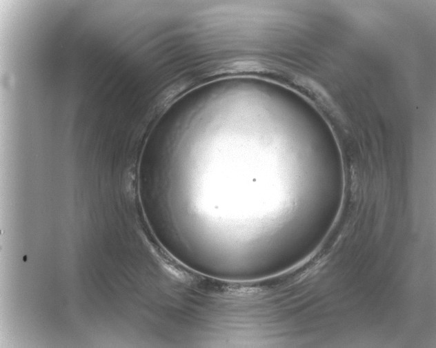 X0000070881225200606302129