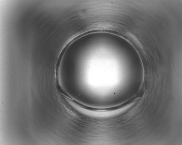 X0000070881226200606302129