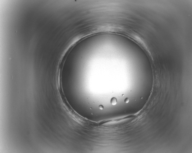 X0000070881227200606302129